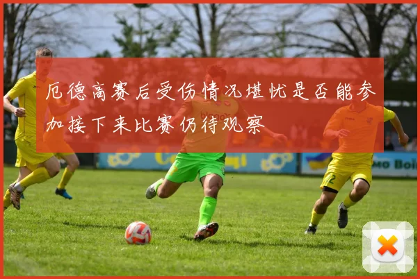 厄德高赛后受伤情况堪忧是否能参加接下来比赛仍待观察
