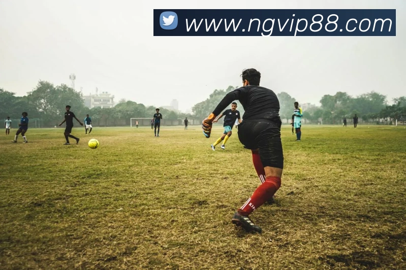 南宫娱乐APP 封面图